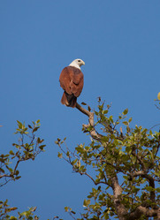 Similar image 1235374