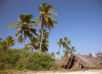 Similar image 1235381