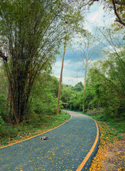 Similar image 1235405