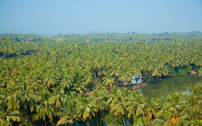 Similar image 1235407