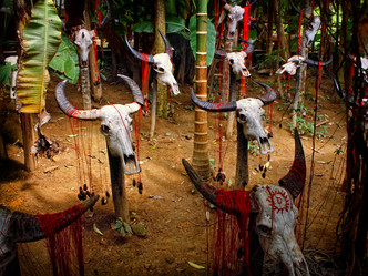 Similar image 1235408