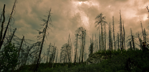 Similar image 1235427