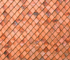 Similar image 1235454