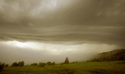 Similar image 1235482