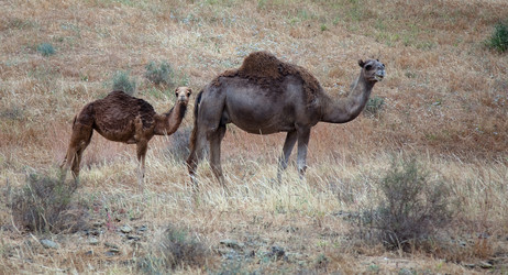 Similar image 1235483