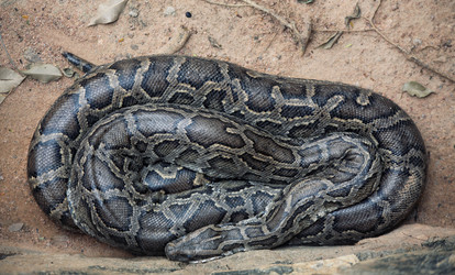 Similar image 1235487