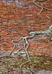 Similar image 1235504