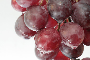 Similar image 1235509