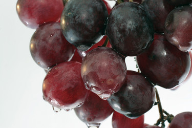 Similar image 1235510