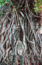 Similar image 1235512