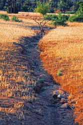 Similar image 1235525