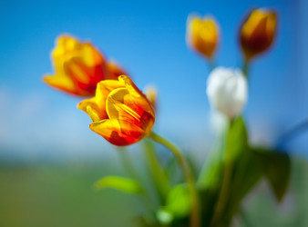 Similar image 1235534