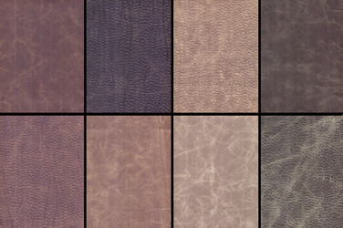 Similar image 1235538