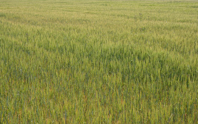 Similar image 1235547