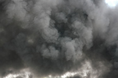 Similar image 1235549