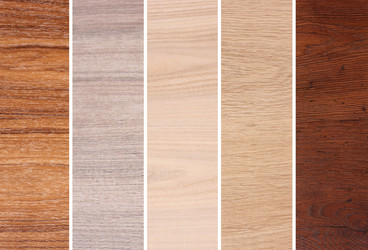 Similar image 1235566