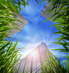 Similar image 1235954