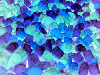 Similar image 1235979