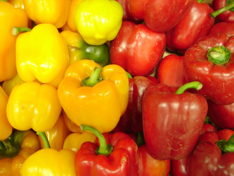 Similar image 1235982