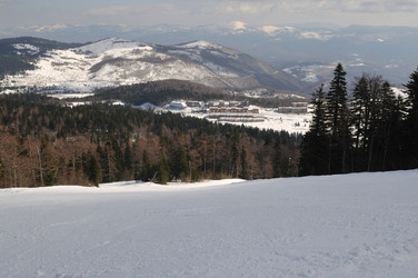 Similar image 1235989