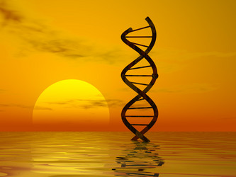 Similar image 1236058