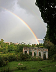 Similar image 1236262