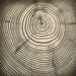 Similar image 1236274