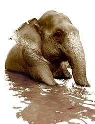 Similar image 1236278