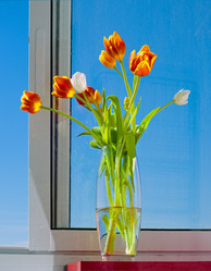 Similar image 1236283