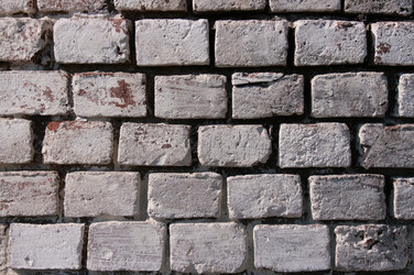 Similar image 1236295