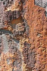 Similar image 1236328