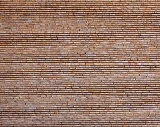 Similar image 1236329