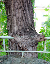 Similar image 1236333