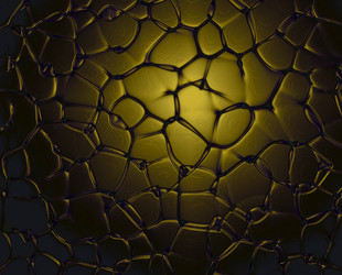 Similar image 1236509