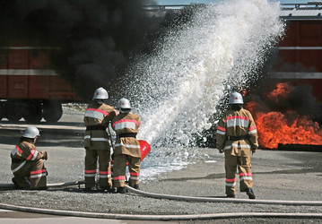 Similar image 1236682