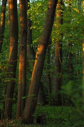 Similar image 1236795