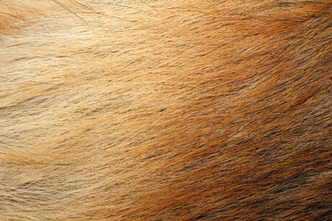 Similar image 1237316