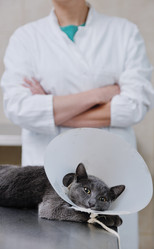 Similar image 1237336