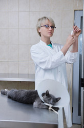 Similar image 1237339