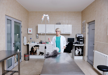 Similar image 1237341