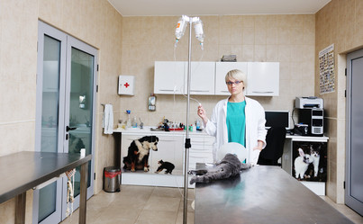 Similar image 1237342