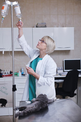 Similar image 1237354