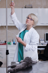 Similar image 1237355