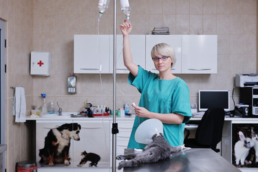 Similar image 1237365