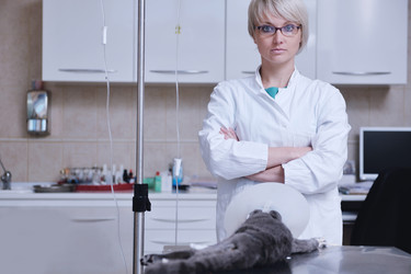 Similar image 1237370