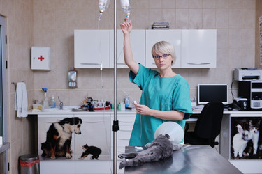 Similar image 1237372