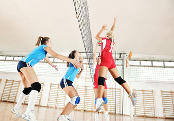 Similar image 1237599