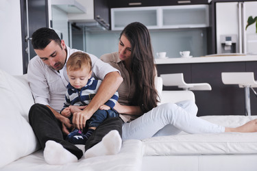 Similar image 1238354