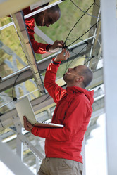 Similar image 1239445