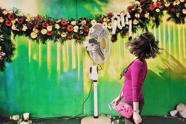 Similar image 1240042